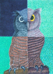 owl.jpg